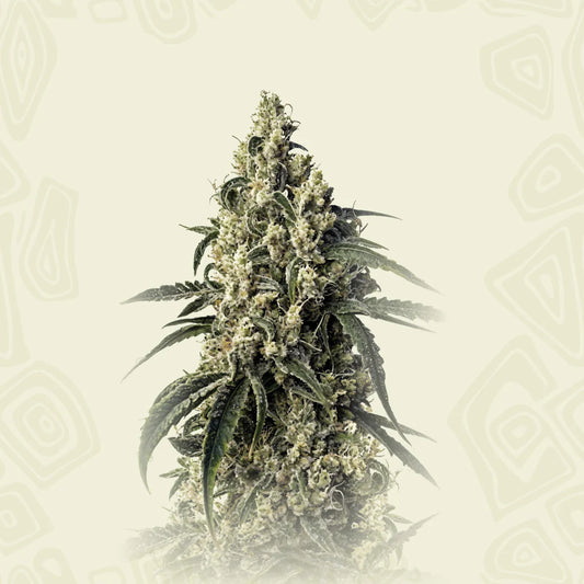 Green Poison