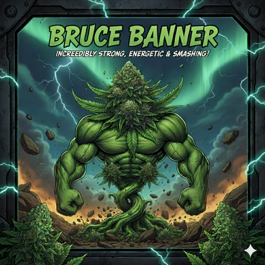 Bruce Banner