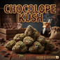 Chocolope Kush