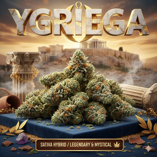 YGRIEGA