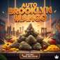 Brooklyn Mango Auto