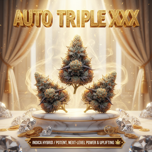 Triple XXX Auto