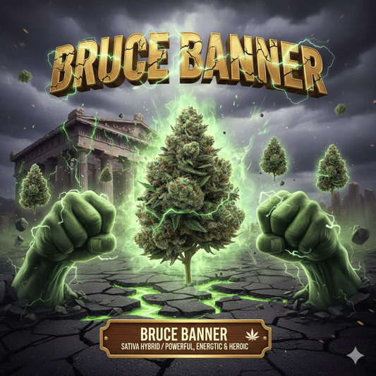 Bruce Banner