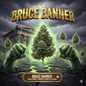 Bruce Banner
