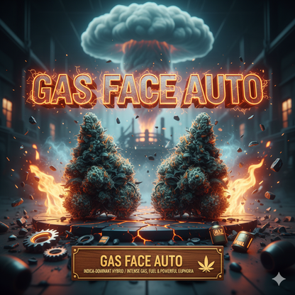 Gas Face Auto