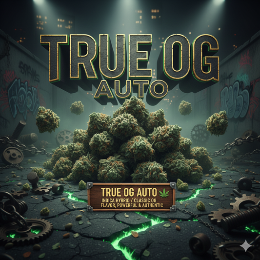 True OG Auto