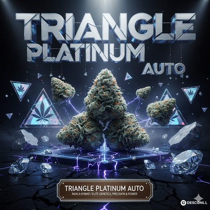 Triangle Platinum Auto