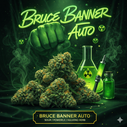 Bruce Banner Auto