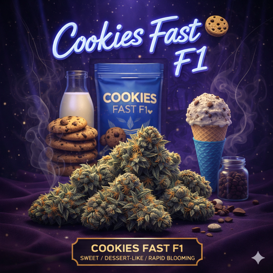 Cookies Fast F1