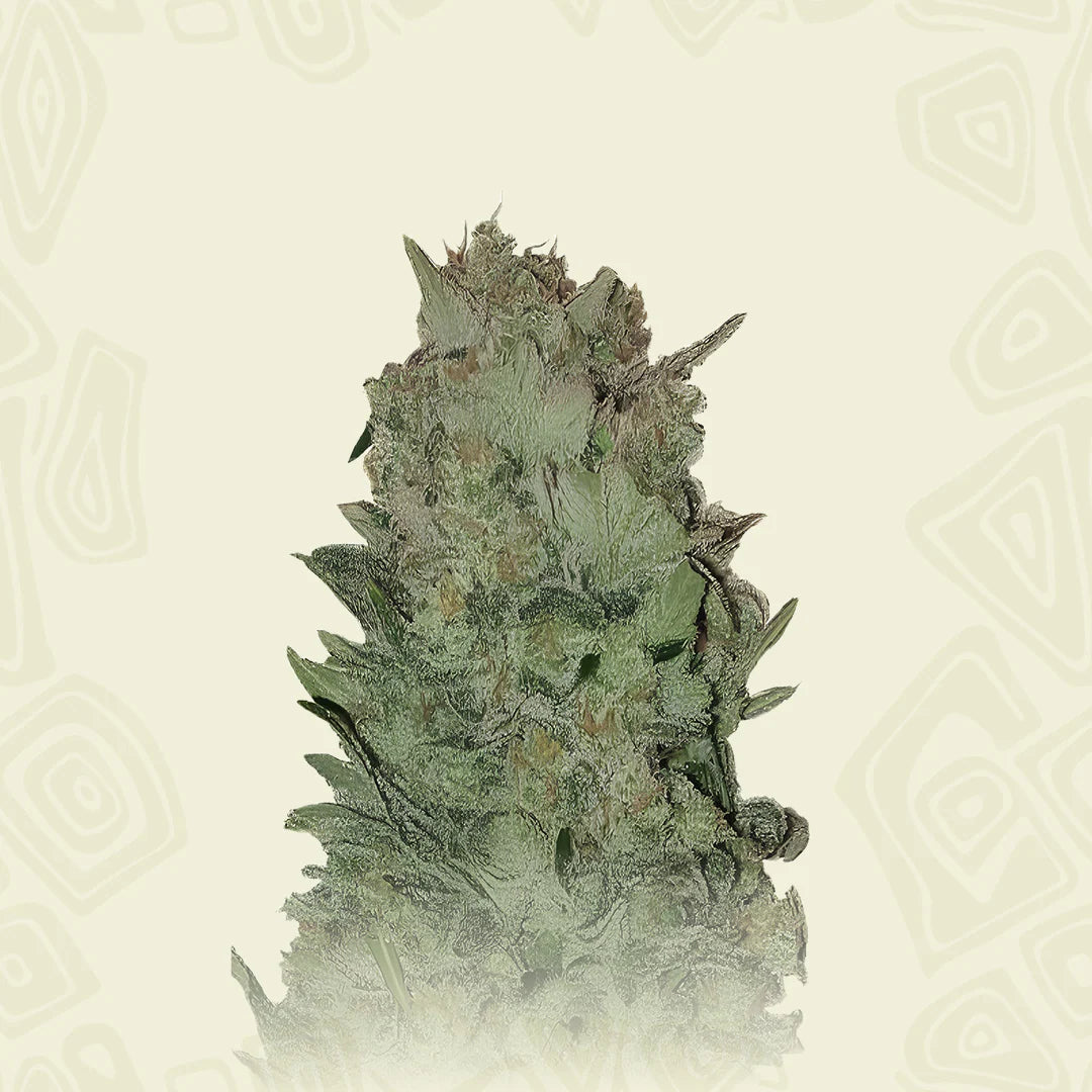 Gorilla Platinum Auto