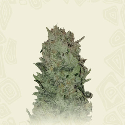 Gorilla Platinum Auto