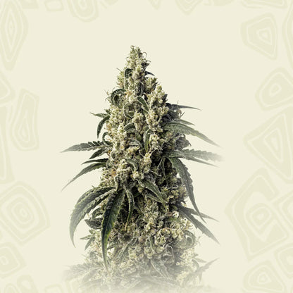 Green Poison