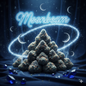 Moonbeam