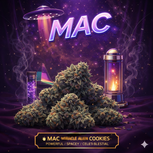 MAC